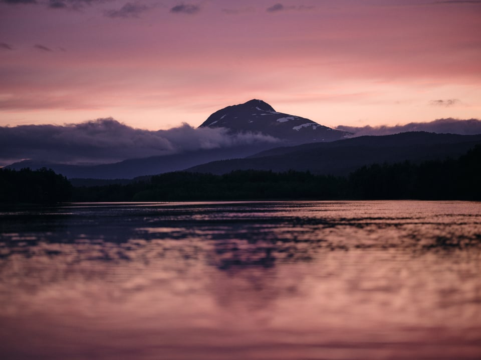 Tenkara Mornings, 1